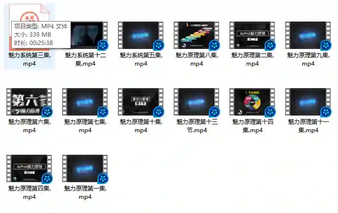 柯李思Chris良叔《魅力原理》实战指南｜限时揭秘专属魅力公式-拆界研习社