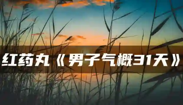 红色药丸《男子气概31天》实战指南：限时揭秘专属成长路径-拆界研习社