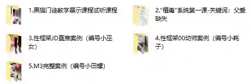 黑猫门徒核心课实战指南：限时揭秘专属成长路径-拆界研习社