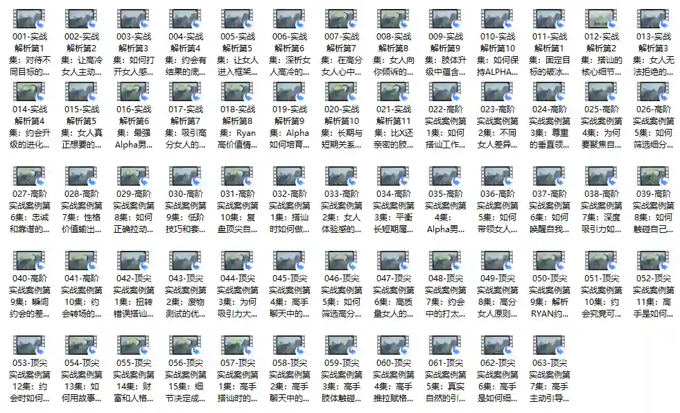 瑞恩自然之道Plus实战指南｜价值12800元专属揭秘版【完结】-拆界研习社