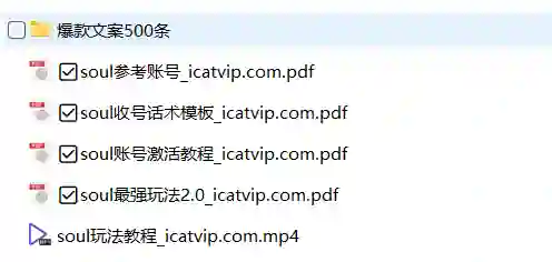 Soul最新玩法实战指南：500条爆款文案限时揭秘-拆界研习社