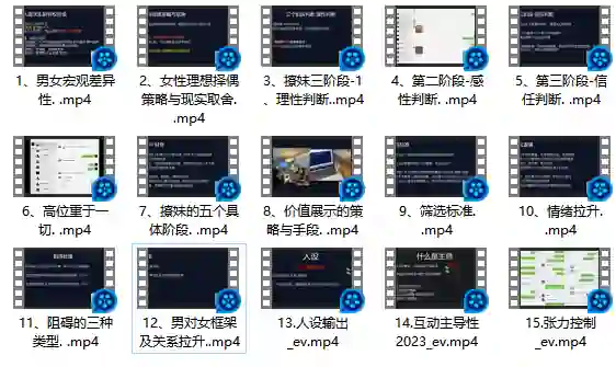 Leon情感5.0实战指南：限时揭秘专属情感提升术-拆界研习社