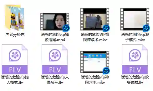 诱惑的危险VIP内部实战指南｜限时揭秘专属版本-拆界研习社