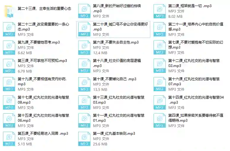 红丸实战指南：十大人生法则限时揭秘-拆界研习社