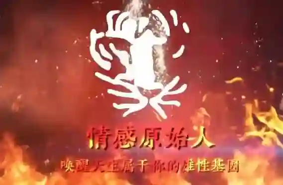 火种情感《情感原始人》实战指南：揭秘原始吸引力法则-拆界研习社